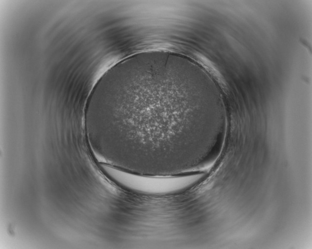 X0000096471234200802071849