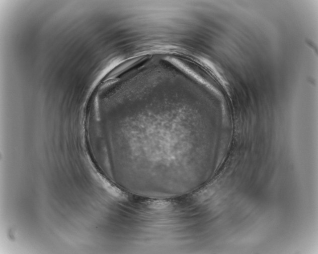 X0000096471235200802071849