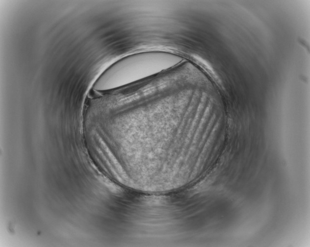 X0000096471236200802071849