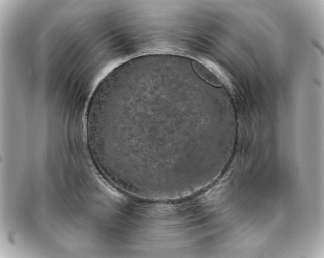 X0000096471238200802071849