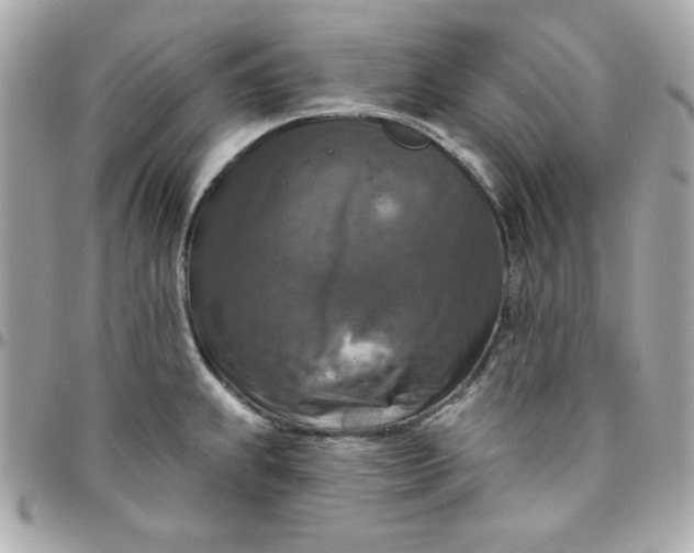 X0000096471239200802071849