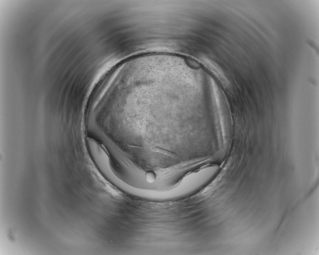 X0000096471240200802071849