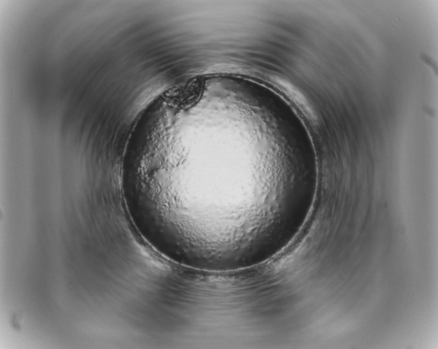 X0000096471241200802071849