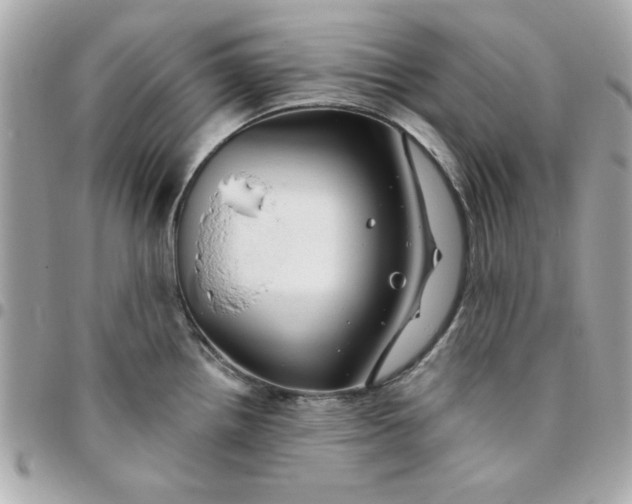 X0000096471242200802071849