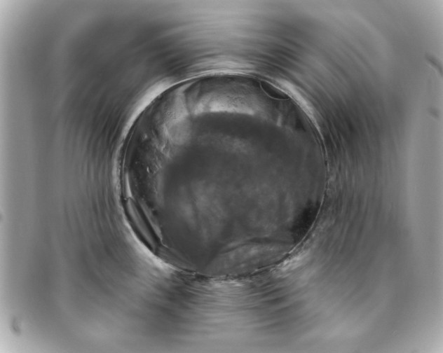 X0000096471243200802071849