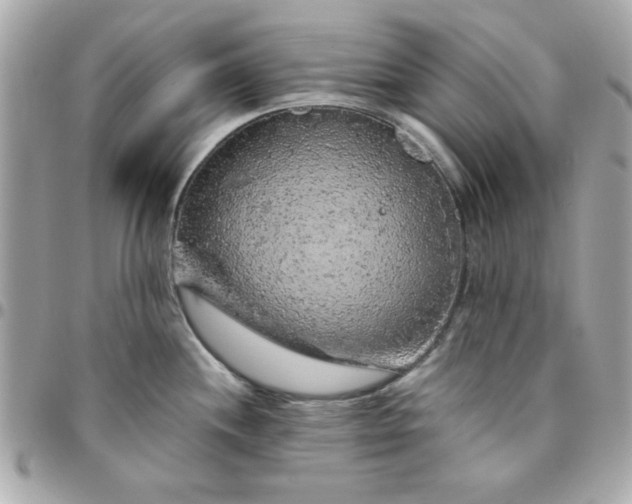 X0000096471244200802071849