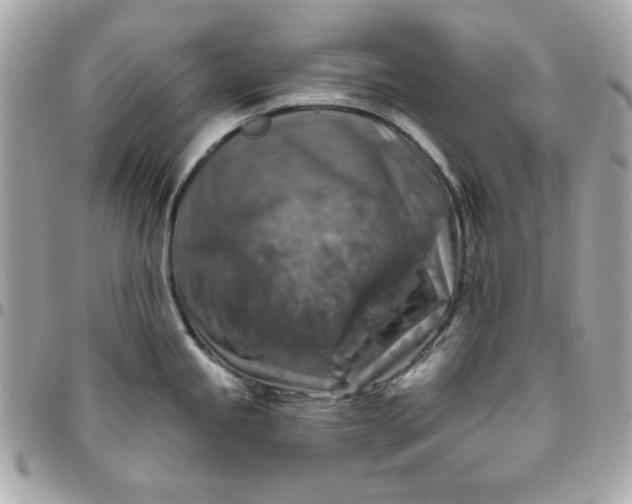 X0000096471245200802071849