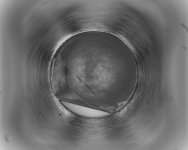 X0000096471246200802071849