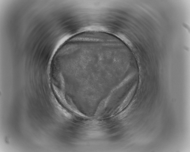 X0000096471248200802071849