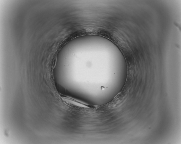 X0000096471249200802071849