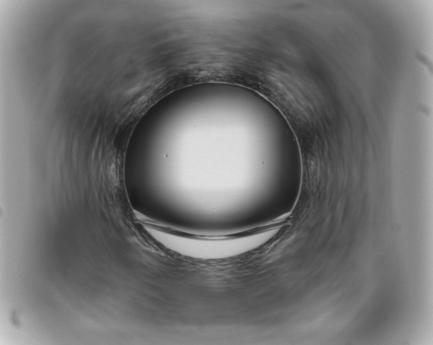 X0000096471250200802071849