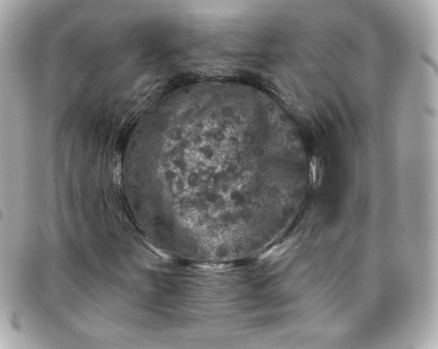 X0000096471251200802071849