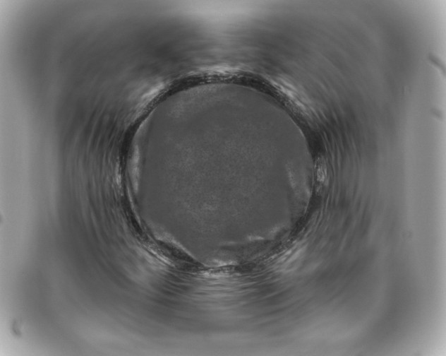 X0000096471252200802071849