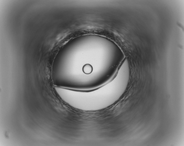 X0000096471253200802071849