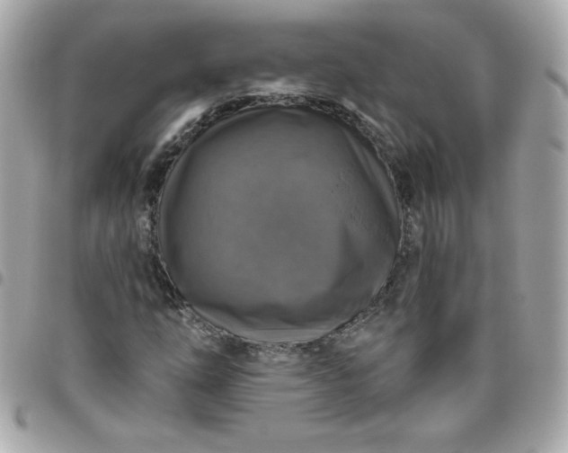 X0000096471254200802071849