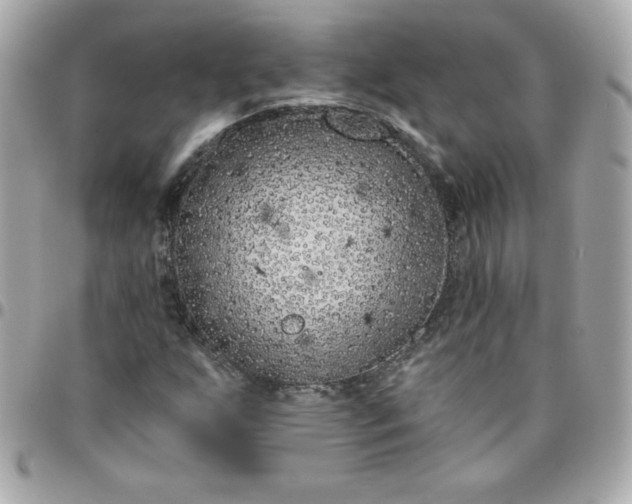 X0000096471255200802071849