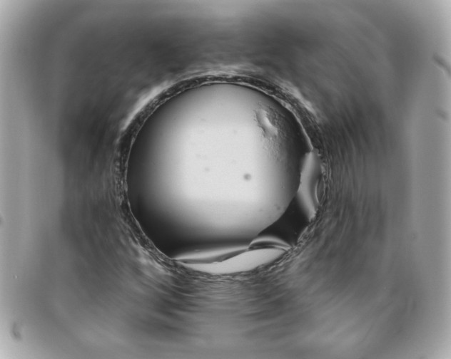 X0000096471256200802071849