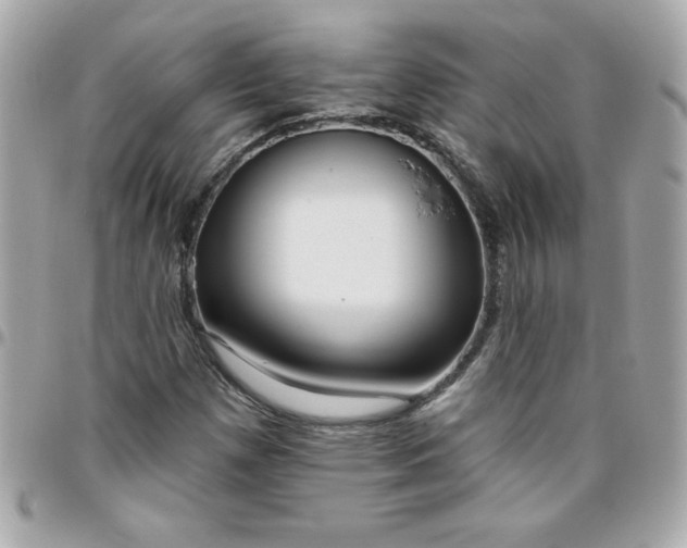 X0000096471257200802071849