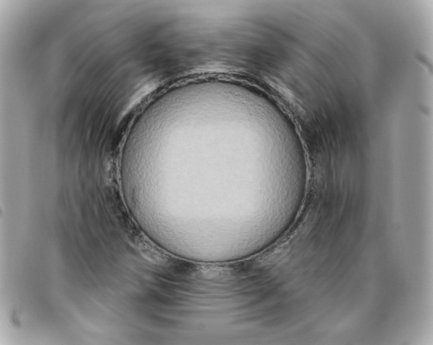 X0000096471258200802071849