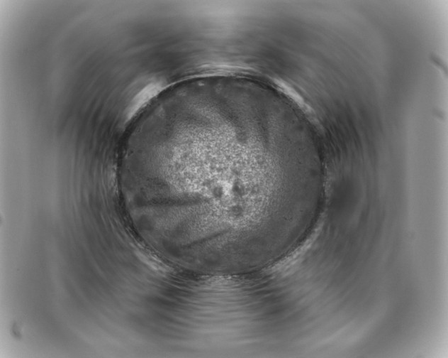 X0000096471259200802071849