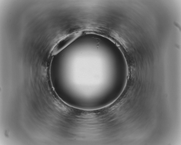 X0000096471260200802071849