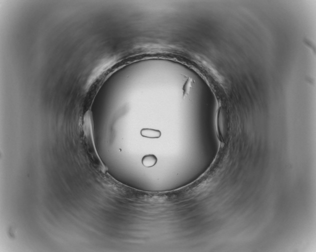 X0000096471261200802071849