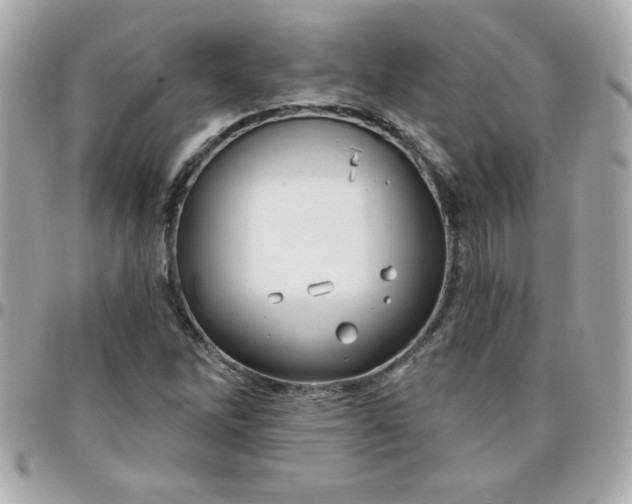 X0000096471262200802071849