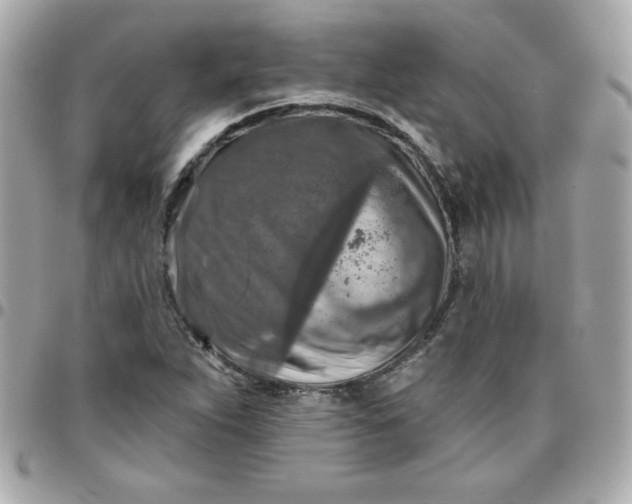 X0000096471263200802071849