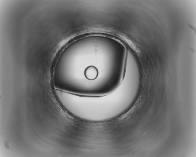 X0000096471264200802071849