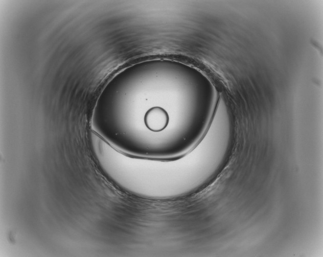 X0000096471265200802071849