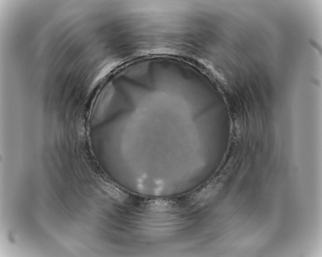 X0000096471266200802071849