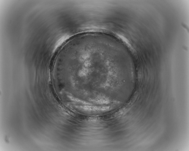 X0000096471267200802071848