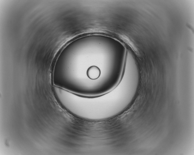 X0000096471268200802071848