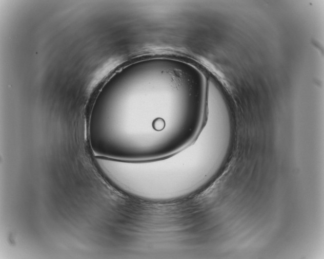 X0000096471269200802071848