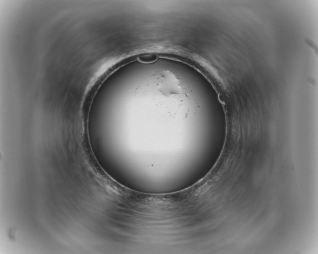 X0000096471270200802071848