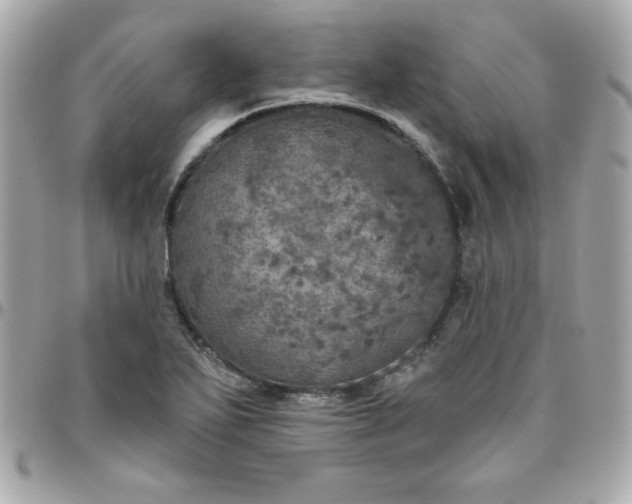 X0000096471271200802071848