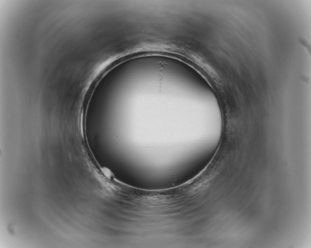 X0000096471272200802071848