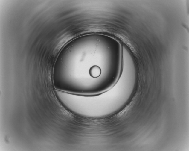 X0000096471273200802071848