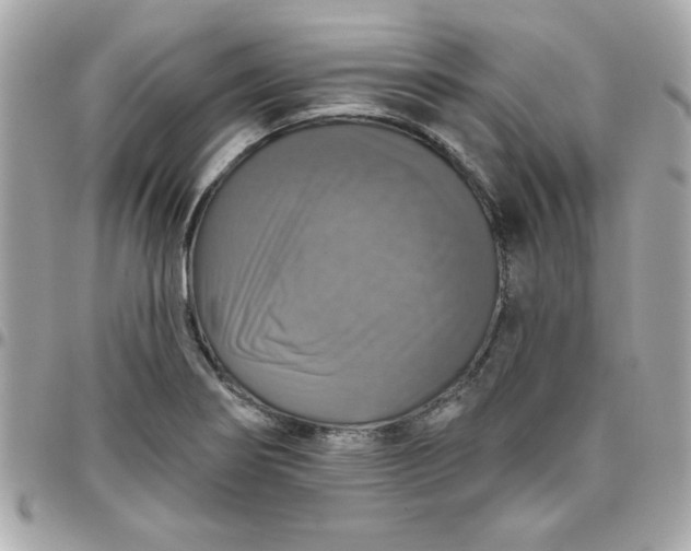 X0000096471274200802071848