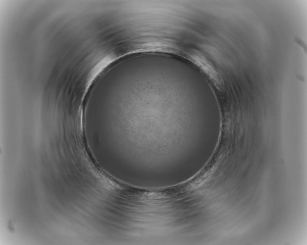 X0000096471275200802071848