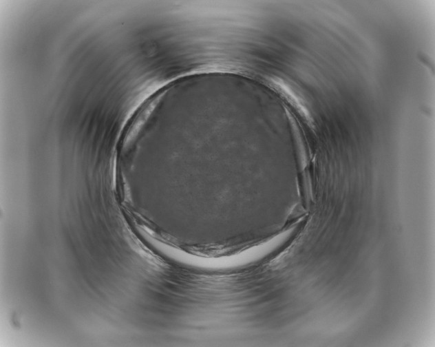 X0000096471276200802071848