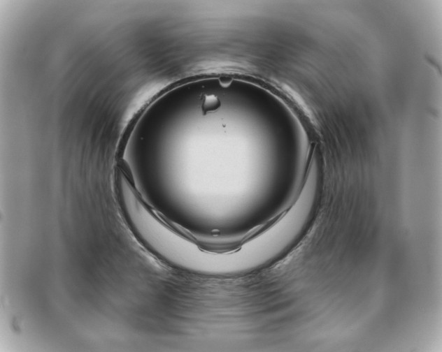 X0000096471277200802071848