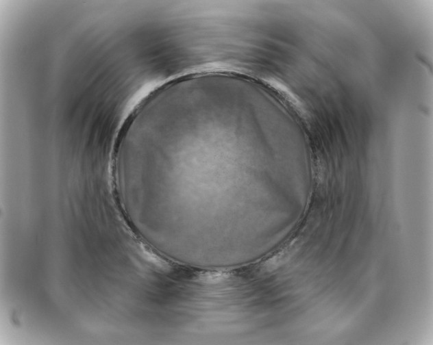 X0000096471278200802071848