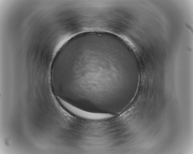 X0000096471279200802071848