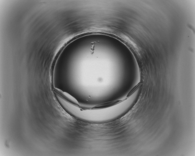 X0000096471280200802071848