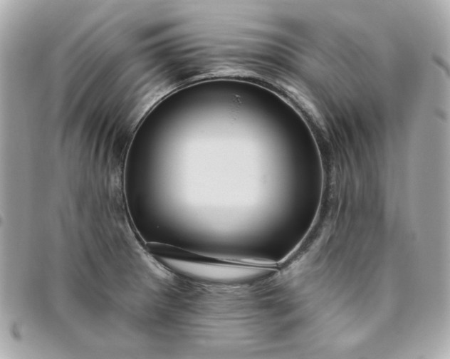 X0000096471281200802071848