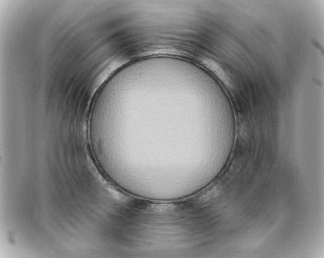 X0000096471282200802071848