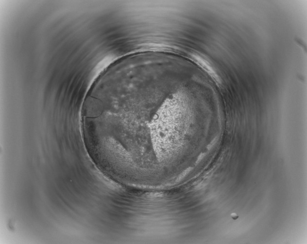 X0000096471283200802071848