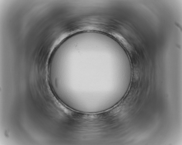 X0000096471286200802071848