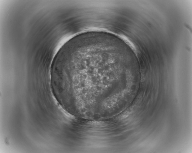 X0000096471287200802071848